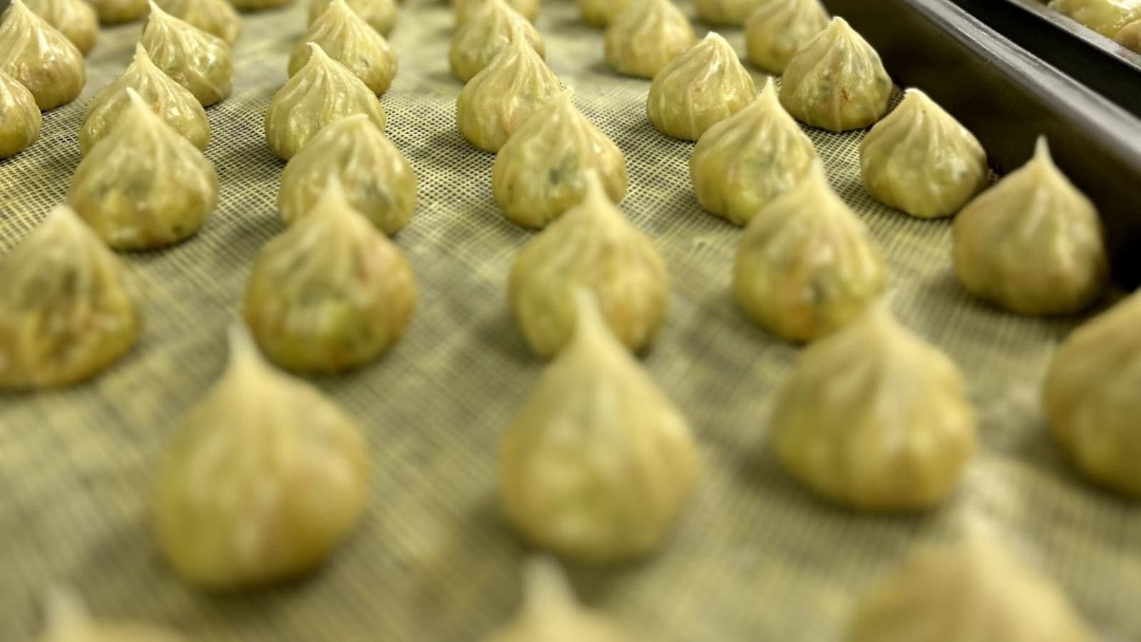 Mix Veg Momos