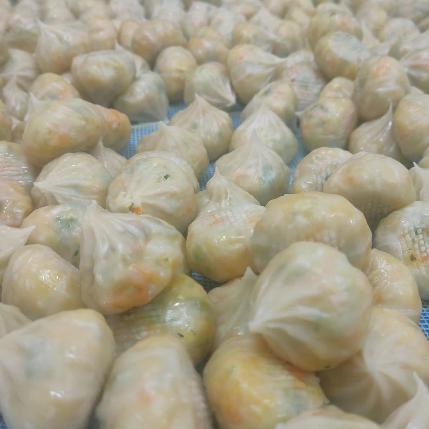 Veg Momos